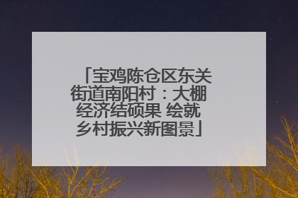宝鸡陈仓区东关街道南阳村：大棚经济结硕果 绘就乡村振兴新图景