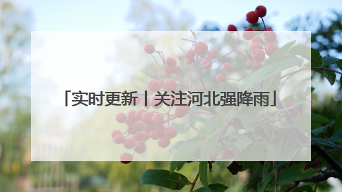 实时更新丨关注河北强降雨