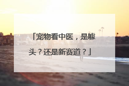 宠物看中医，是噱头？还是新赛道？