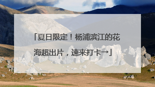 夏日限定！杨浦滨江的花海超出片，速来打卡→