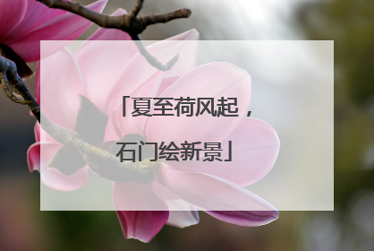 夏至荷风起，石门绘新景