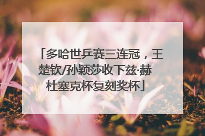 多哈世乒赛三连冠，王楚钦/孙颖莎收下兹·赫杜塞克杯复刻奖杯