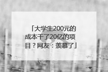 大学生200元的成本干了20亿的项目？网友：羡慕了