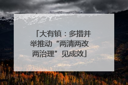 大有镇：多措并举推动“两清两改两治理”见成效