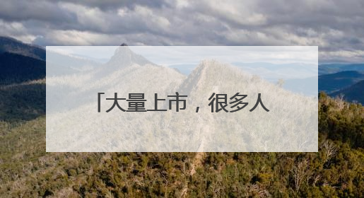大量上市，很多人爱吃，价格降了