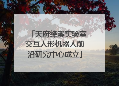 天府绛溪实验室交互人形机器人前沿研究中心成立