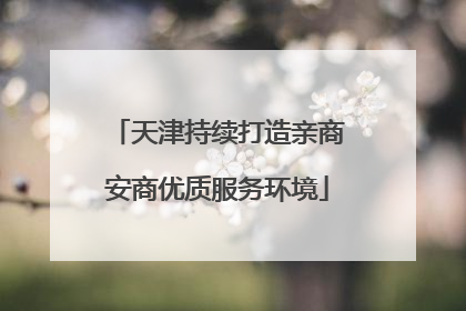 天津持续打造亲商安商优质服务环境