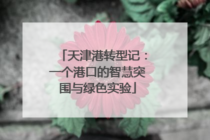 天津港转型记：一个港口的智慧突围与绿色实验
