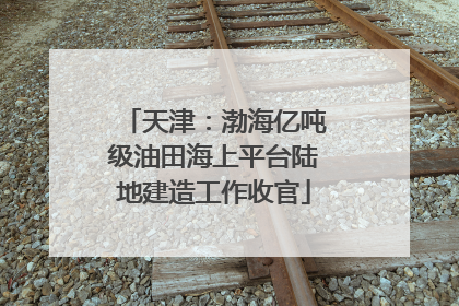 天津：渤海亿吨级油田海上平台陆地建造工作收官