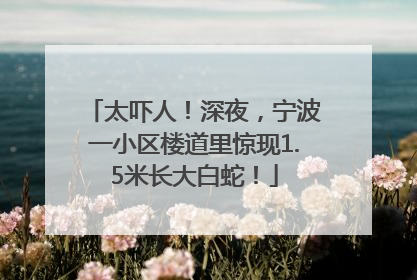 太吓人！深夜，宁波一小区楼道里惊现1.5米长大白蛇！