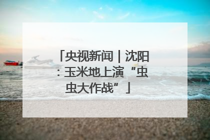 央视新闻｜沈阳：玉米地上演“虫虫大作战”