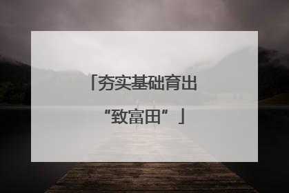 夯实基础育出“致富田”