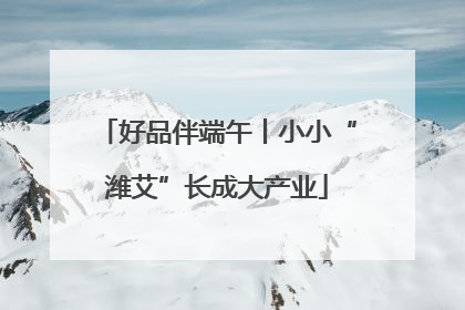 好品伴端午丨小小“潍艾”长成大产业