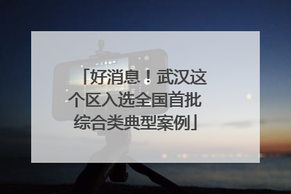 好消息！武汉这个区入选全国首批综合类典型案例