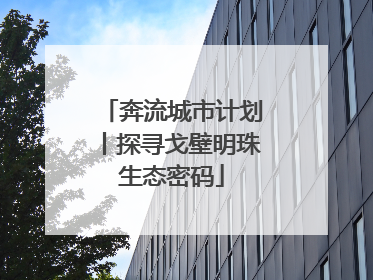 奔流城市计划丨探寻戈壁明珠生态密码