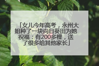 女儿今年高考，永州大姐种了一块向日葵田为她祝福：有200多棵，送了很多给其他家长