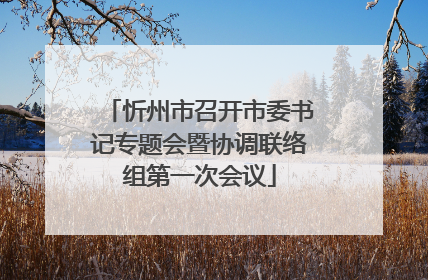 忻州市召开市委书记专题会暨协调联络组第一次会议