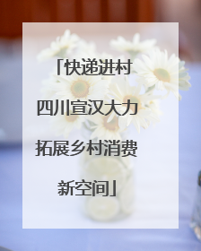 快递进村 四川宣汉大力拓展乡村消费新空间