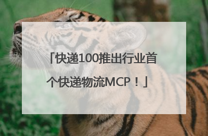 快递100推出行业首个快递物流MCP！