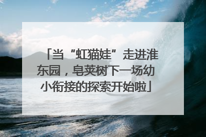 当“虹猫娃”走进淮东园，皂荚树下一场幼小衔接的探索开始啦