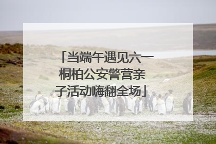 当端午遇见六一 桐柏公安警营亲子活动嗨翻全场