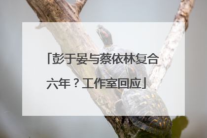 彭于晏与蔡依林复合六年？工作室回应