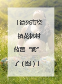 德兴市绕二镇花林村蓝莓“紫”了（图）