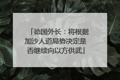德国外长：将根据加沙人道局势决定是否继续向以方供武