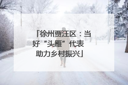 徐州贾汪区：当好“头雁”代表 助力乡村振兴