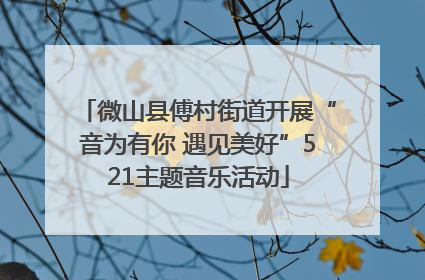 微山县傅村街道开展“音为有你 遇见美好”521主题音乐活动