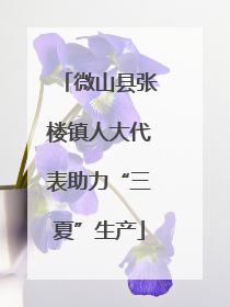 微山县张楼镇人大代表助力“三夏”生产