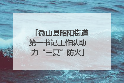 微山县昭阳街道第一书记工作队助力“三夏”防火