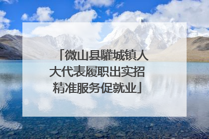微山县驩城镇人大代表履职出实招精准服务促就业