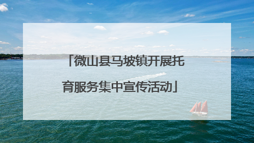 微山县马坡镇开展托育服务集中宣传活动