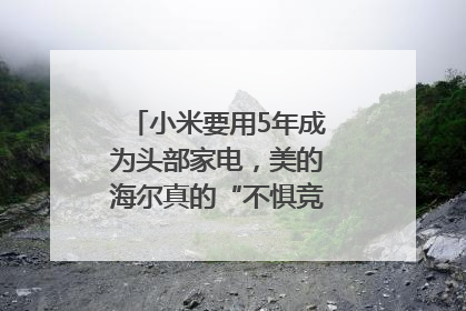 小米要用5年成为头部家电，美的海尔真的“不惧竞争”？｜热财经