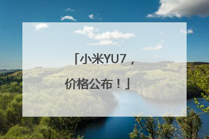 小米YU7，价格公布！
