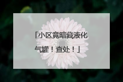 小区竟暗藏液化气罐！查处！
