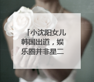 小沈阳女儿韩国出道，娱乐圈并非星二代扎堆的舒适区｜文艺评论