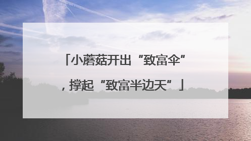 小蘑菇开出“致富伞”，撑起“致富半边天”