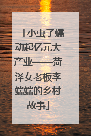 小虫子蠕动起亿元大产业——菏泽女老板李端端的乡村故事