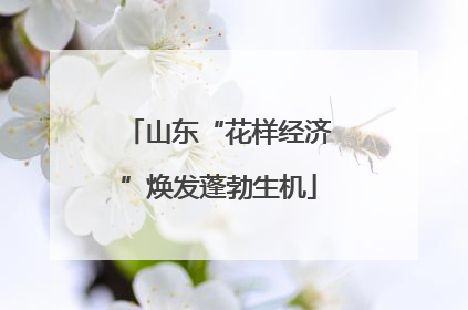 山东“花样经济”焕发蓬勃生机