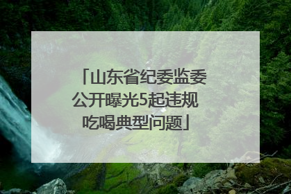 山东省纪委监委公开曝光5起违规吃喝典型问题