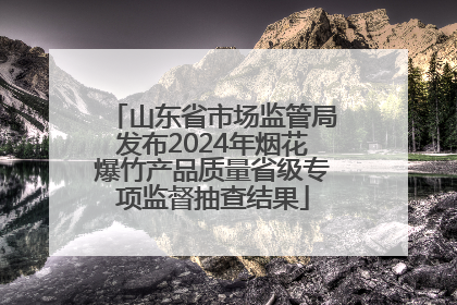 山东省市场监管局发布2024年烟花爆竹产品质量省级专项监督抽查结果