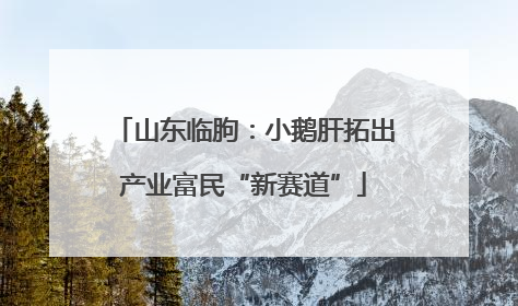 山东临朐：小鹅肝拓出产业富民“新赛道”