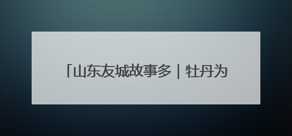 山东友城故事多｜牡丹为媒 经贸与教育并举 菏泽国际“朋友圈”扩容升级