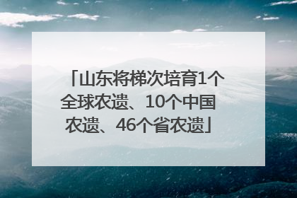 山东将梯次培育1个全球农遗、10个中国农遗、46个省农遗