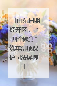 山东日照经开区：“四个聚焦”筑牢湿地保护司法屏障