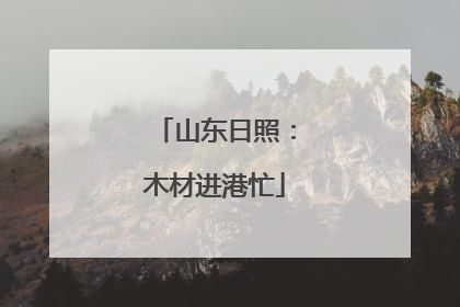 山东日照：木材进港忙