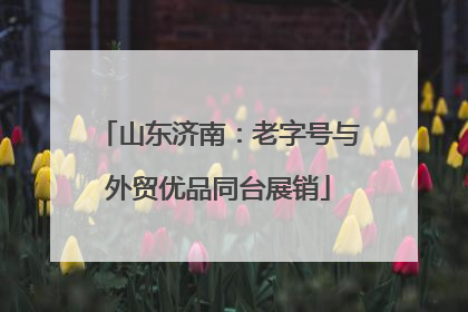 山东济南：老字号与外贸优品同台展销