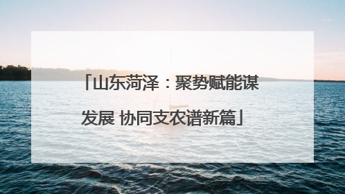山东菏泽：聚势赋能谋发展 协同支农谱新篇